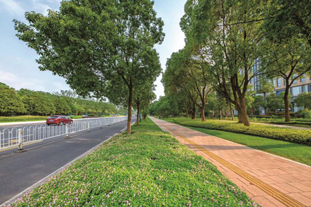 圖片120200924_副本.png 圖片120200924_副本.png