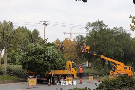 微信圖片_20211104165242_副本.jpg 微信圖片_20211104165242_副本.jpg